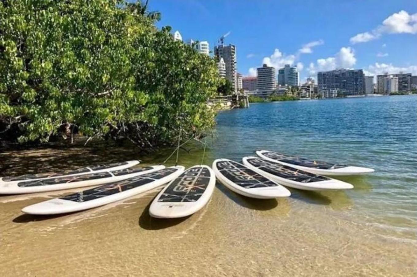 Pr Rentals Beach Front Penthouse A 604 San Juan Exteriör bild